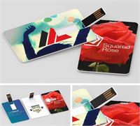 MEMORIA USB COLOR CARD